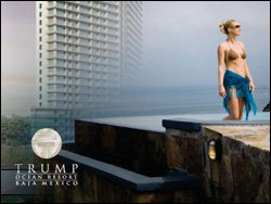 Trump Baja