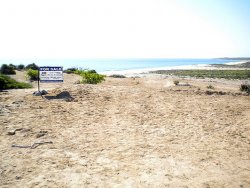 Boca del Salado D-6